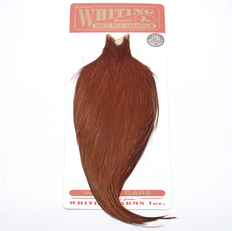 Whiting Bronze Cape Brown